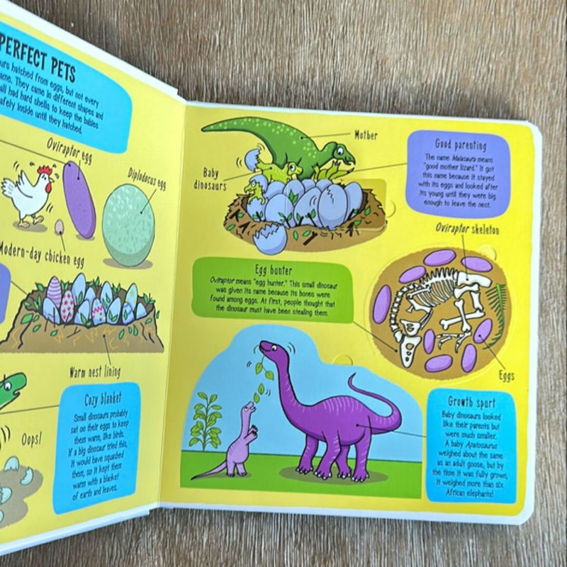 Little Explorers: Dinosaurs