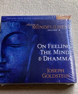 Abiding in Mindfulness, Volume 2