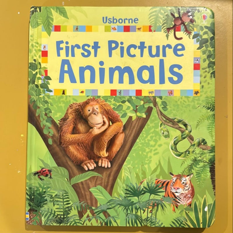 First Picture Animals