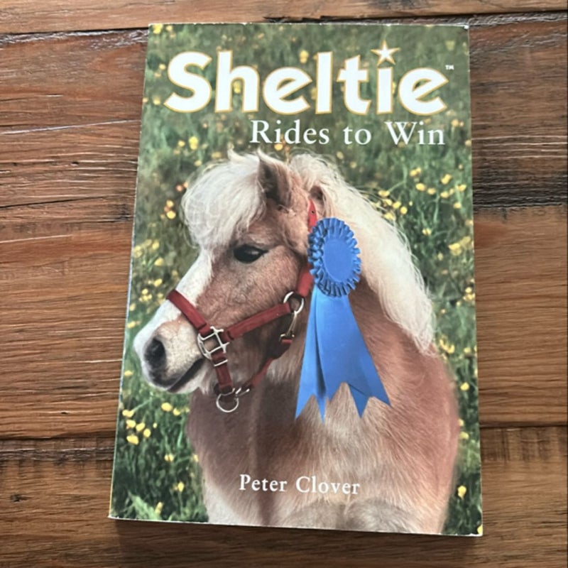 Sheltie Rides to Win