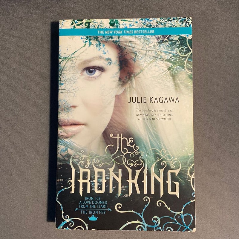 The Iron King by Julie Kagawa, Paperback Pangobooks