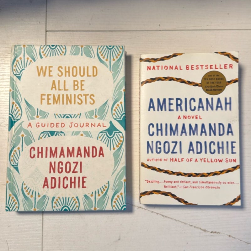 Americanah & We Should All Be Feminists 