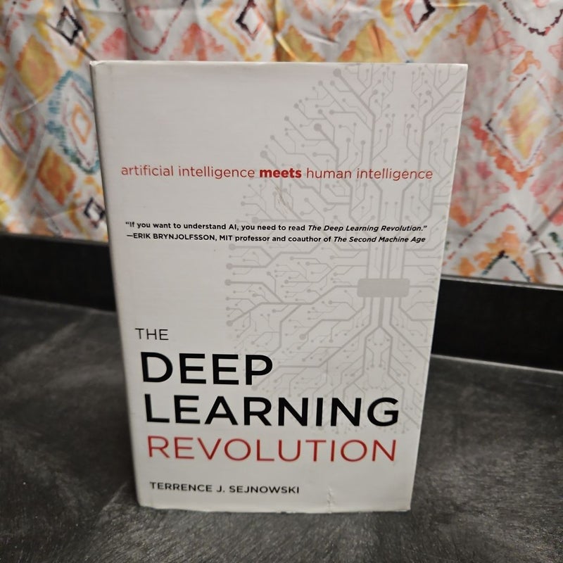The Deep Learning Revolution (PB320)