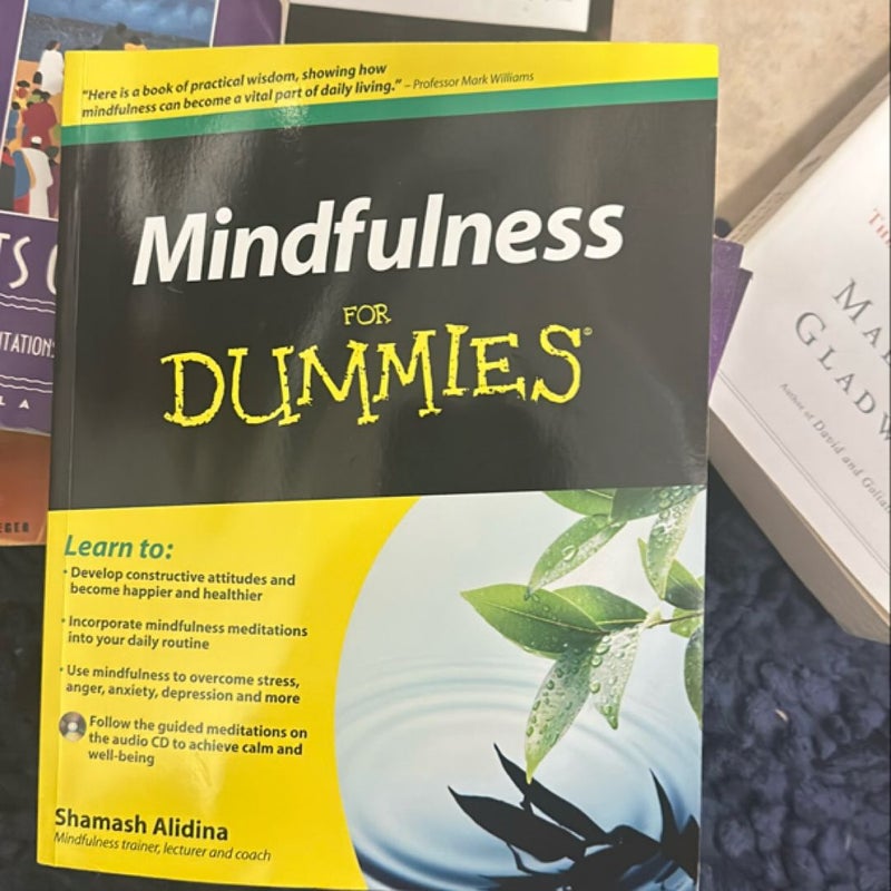 Mindfulness for Dummies