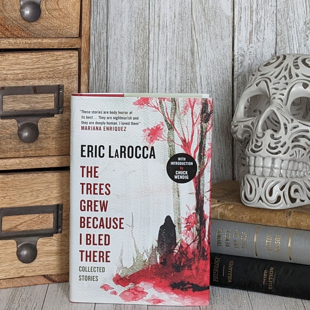 Sale image for 4899b30b-604d-4123-8d2a-199e1f79d0db-e1TPDREGeaPfdiWjHwL27Zq593g2