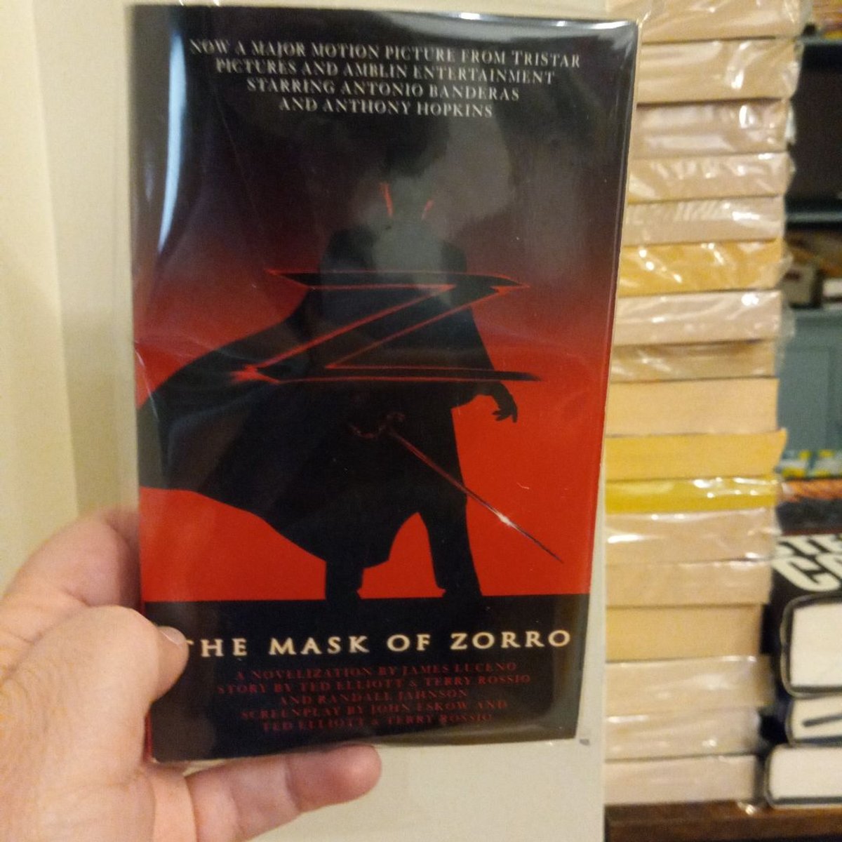 The Mask of Zorro by James Luceno