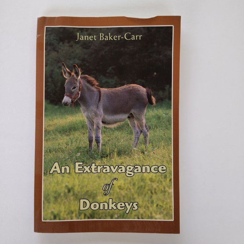 An Extravagance of Donkeys