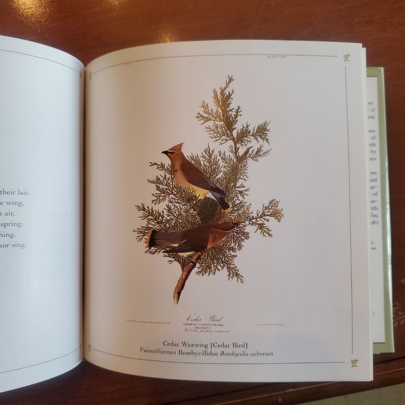 Audubon's Art and Nature