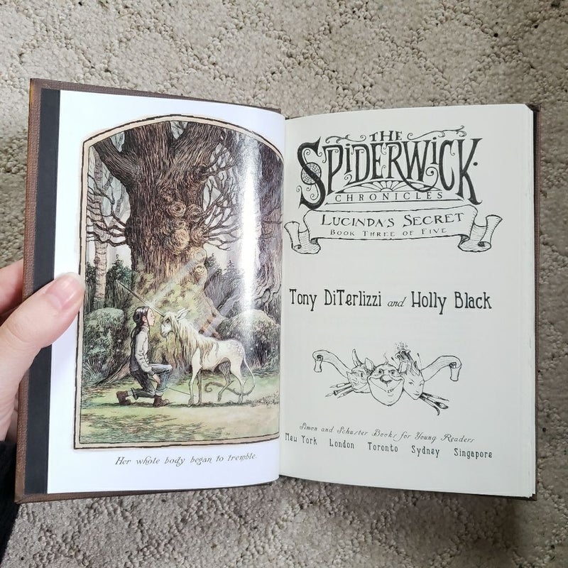 Lucinda's Secret (The Spiderwick Chronicles book 3)