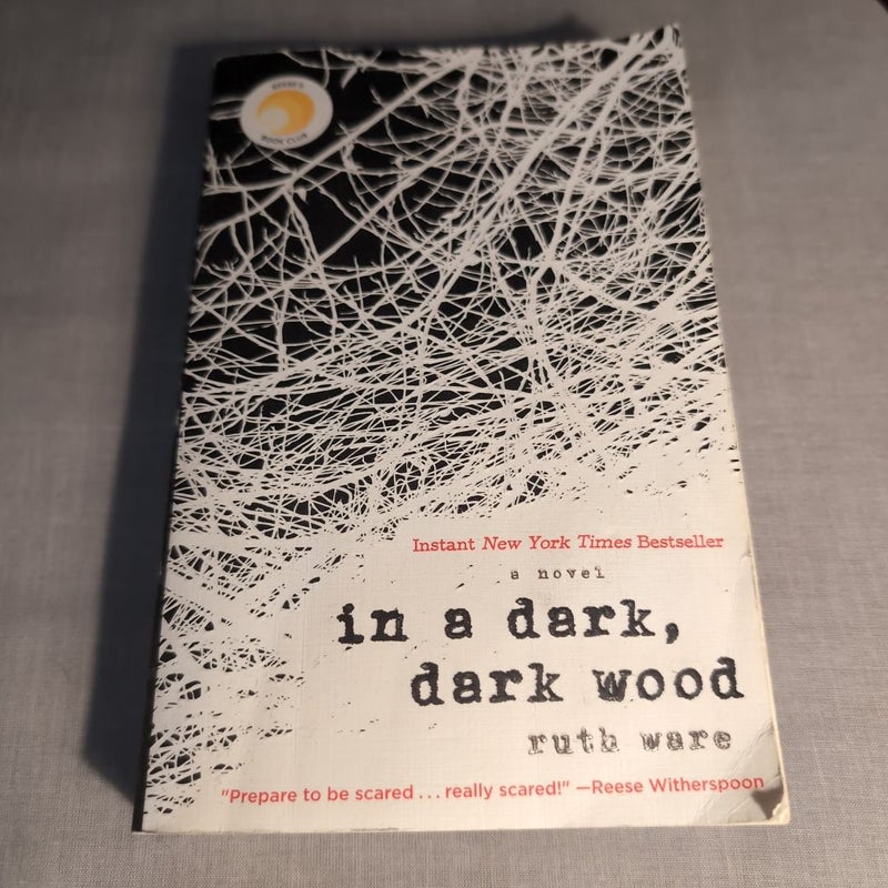 In a Dark, Dark Wood