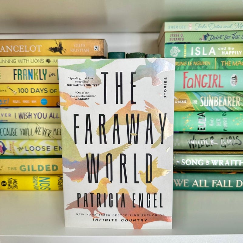 The Faraway World