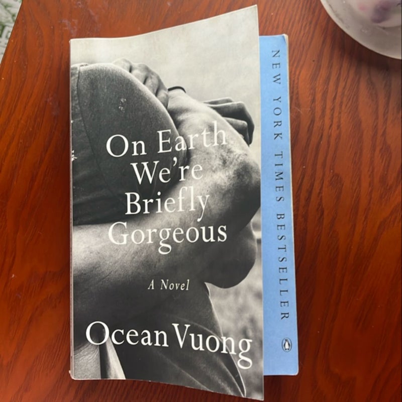 On Earth We're Briefly Gorgeous