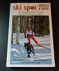 Ski spot run