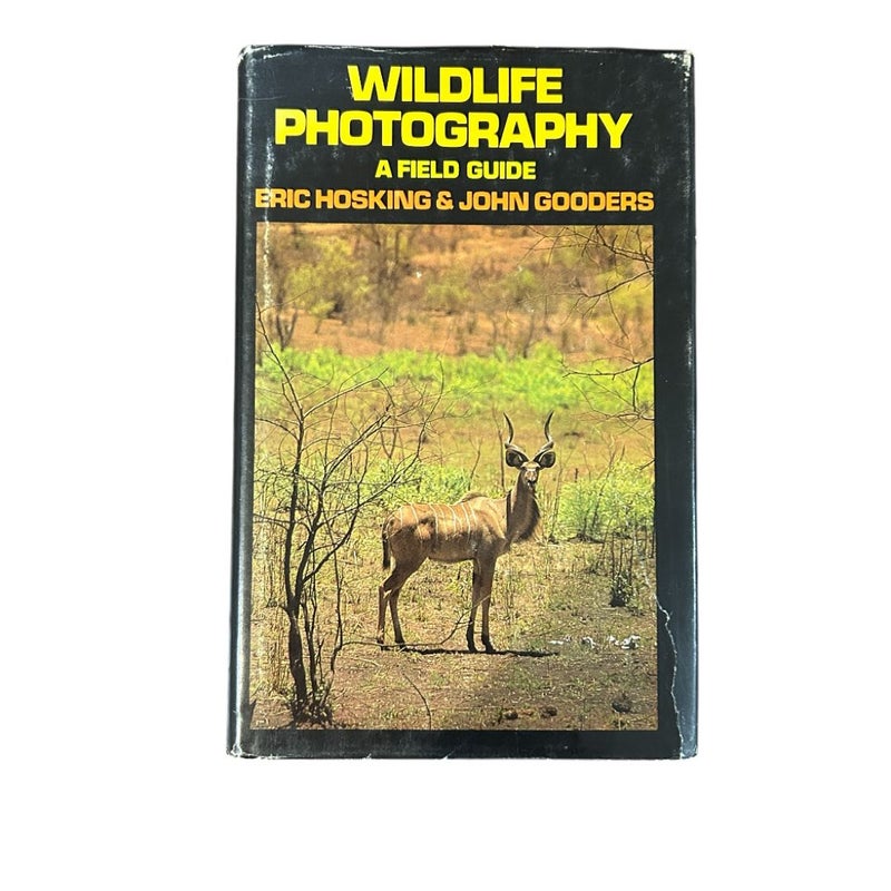 Wildlife Photography