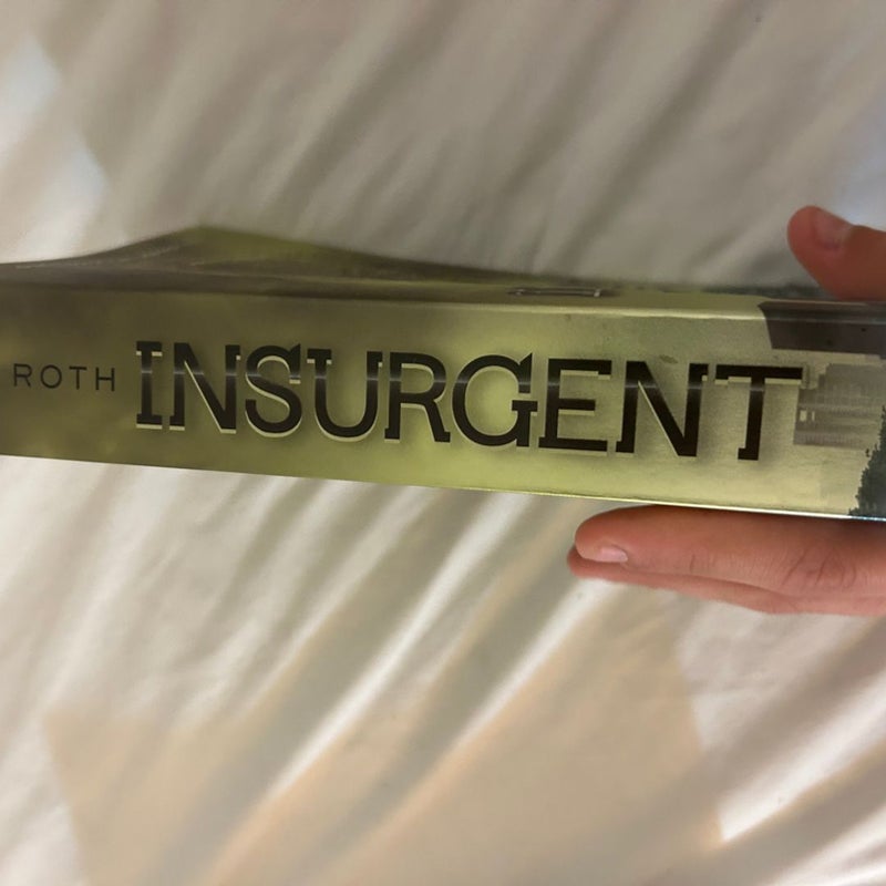 Divergent Series 1-4