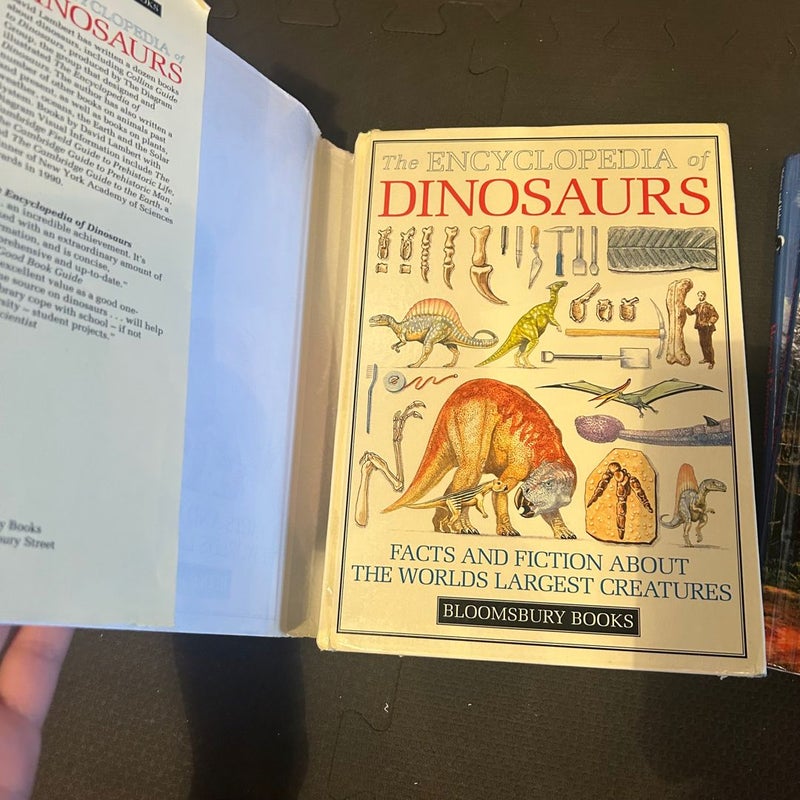 Dinosaur Book Bundle (Five)