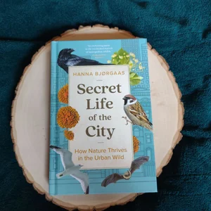 Secret Life of the City