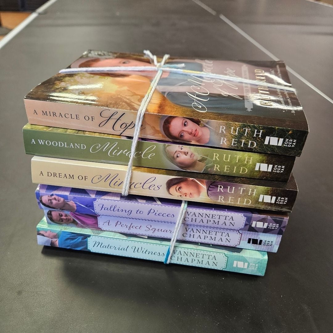 Lot 6 Ruth Reid and Vennetta Chapman Amish Mystery Books by Vannetta ...