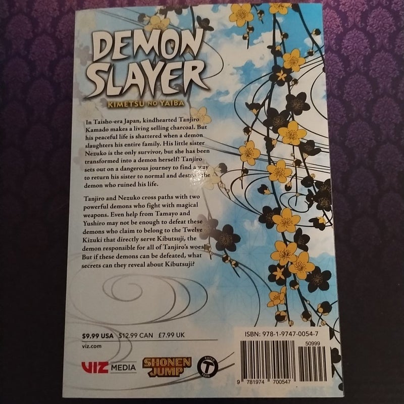 Demon Slayer: Kimetsu No Yaiba, Vol. 3