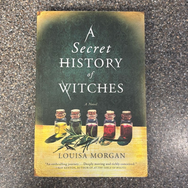 A Secret History of Witches