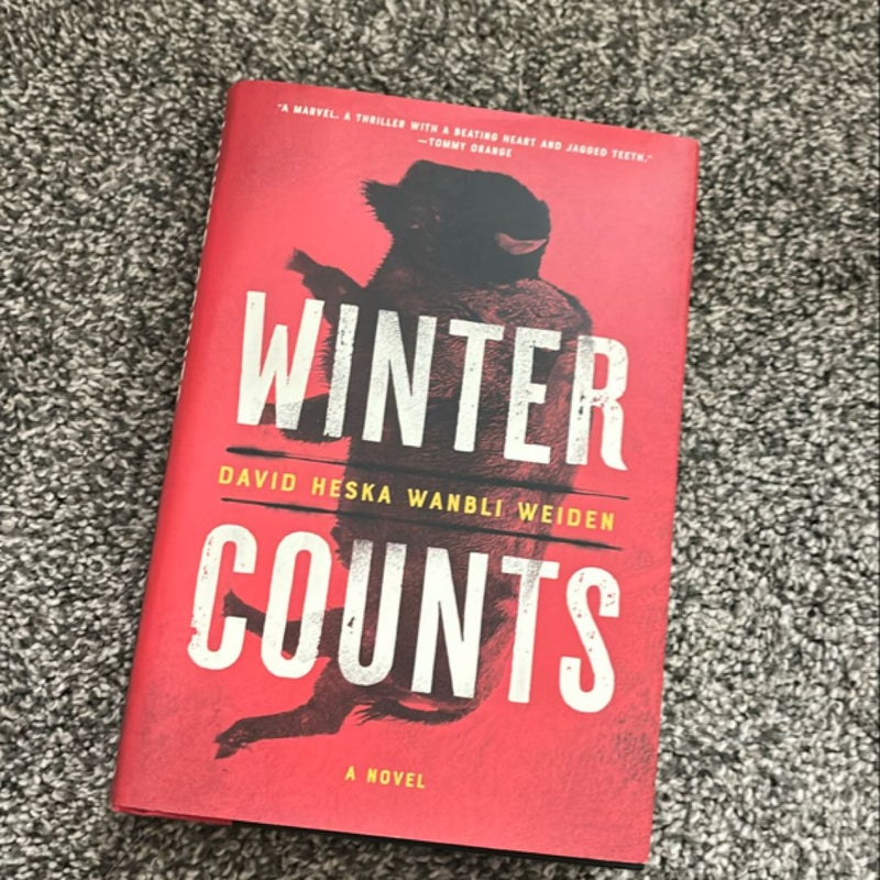 Winter Counts