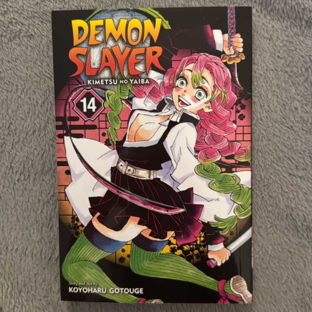 Demon Slayer: Kimetsu No Yaiba, Vol. 14