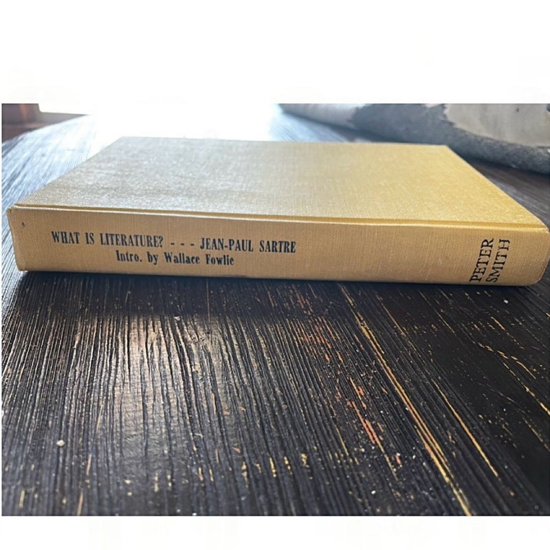 What is literature? Philosophy Essays 