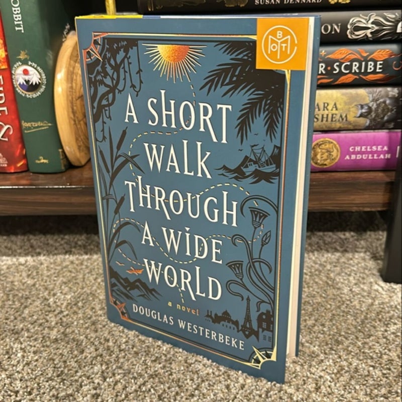 A Short Walk Through a Wide World