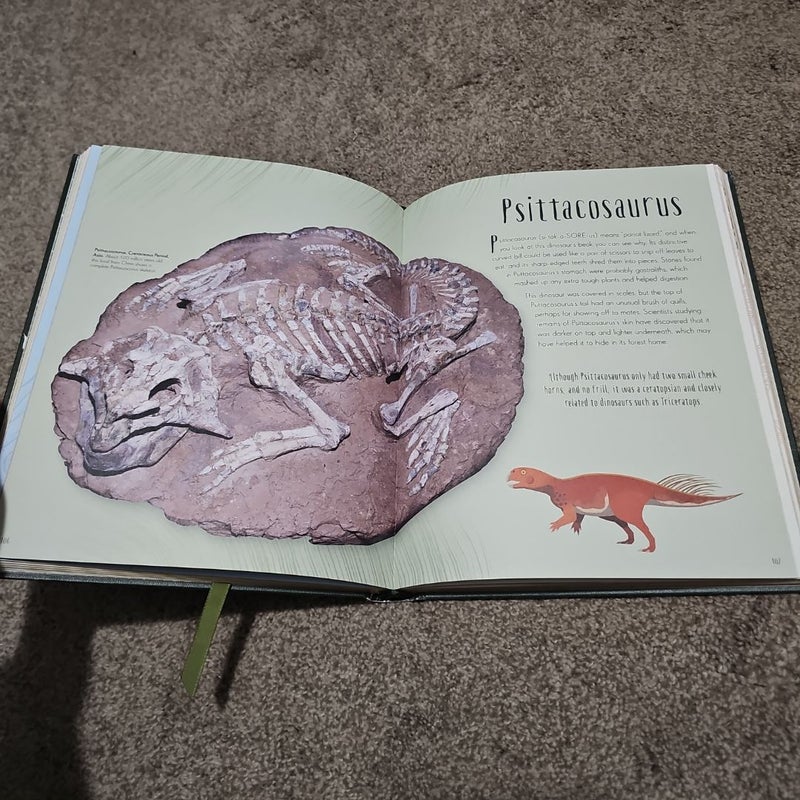 Dinosaurs and Other Prehistoric Life