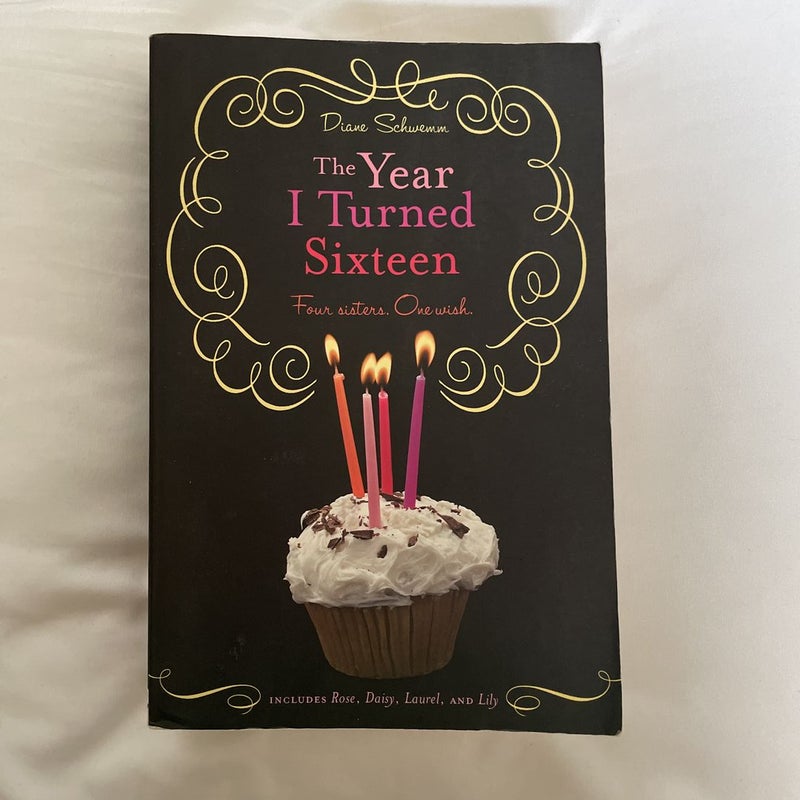 The Year I Turned Sixteen