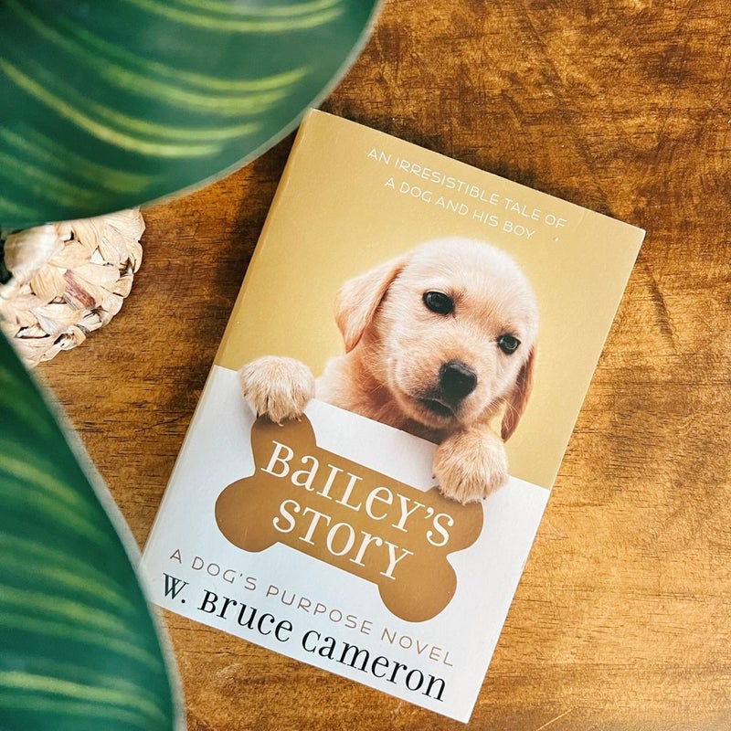 Bailey's Story