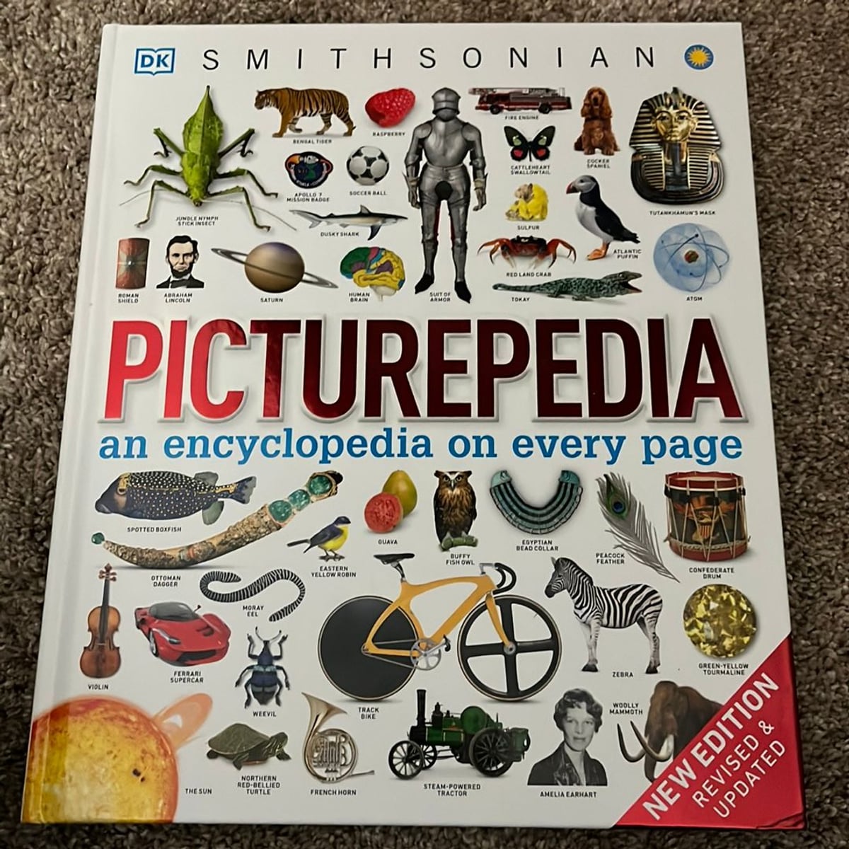 Picturepedia, Second Edition by DK, Hardcover | Pangobooks