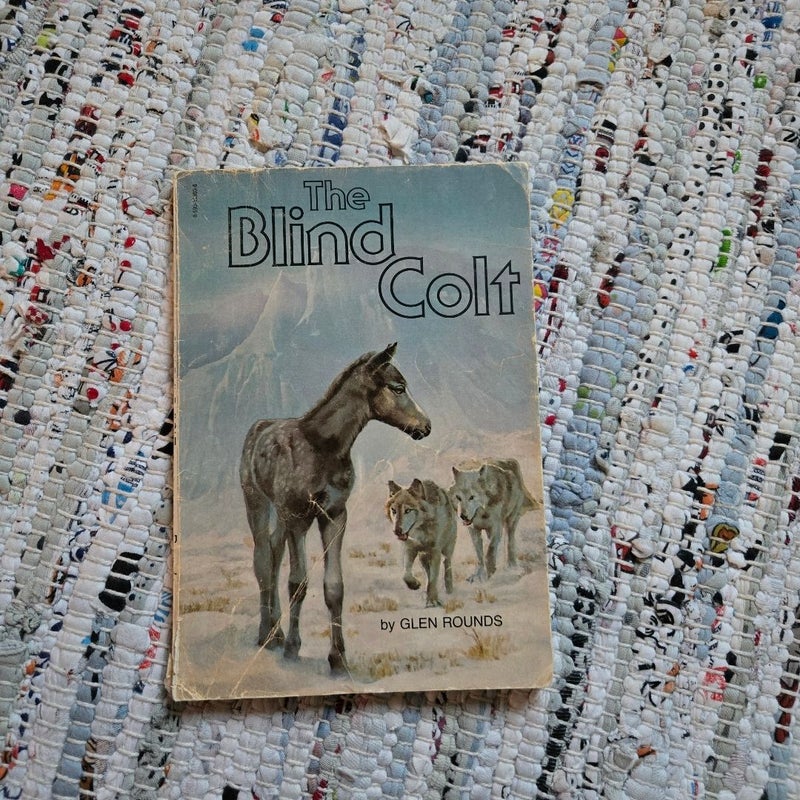 The Blind Colt