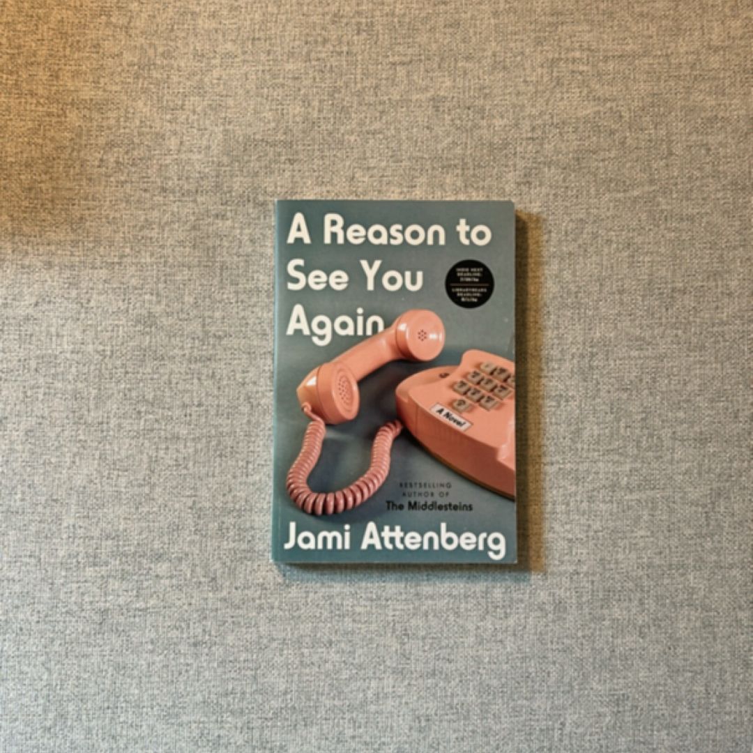 A Reason to See You Again