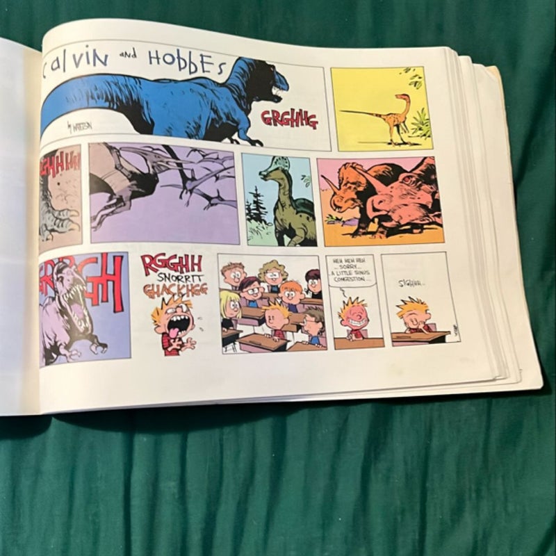 The Calvin and Hobbes Tenth Anniversary Book