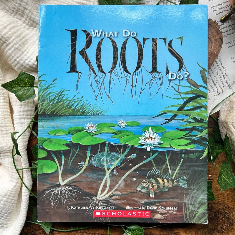 What Do Roots Do?