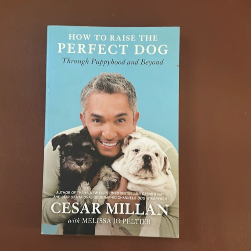 How to Raise the Perfect Dog