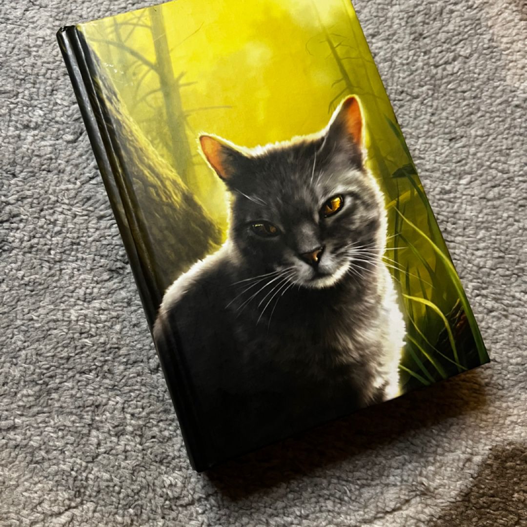 Warriors Super Edition: Hawkwing's Journey