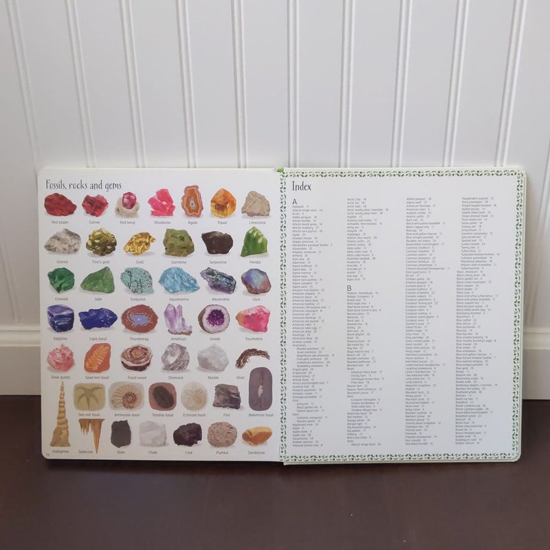 Usborne 1,000 Things in Nature