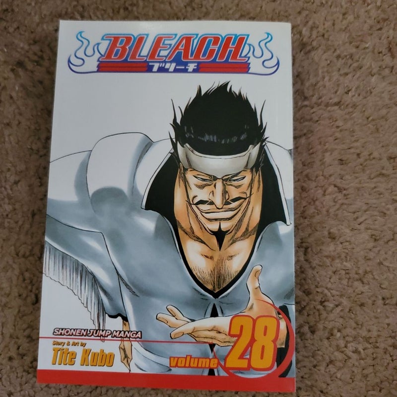 Bleach, Vol. 28