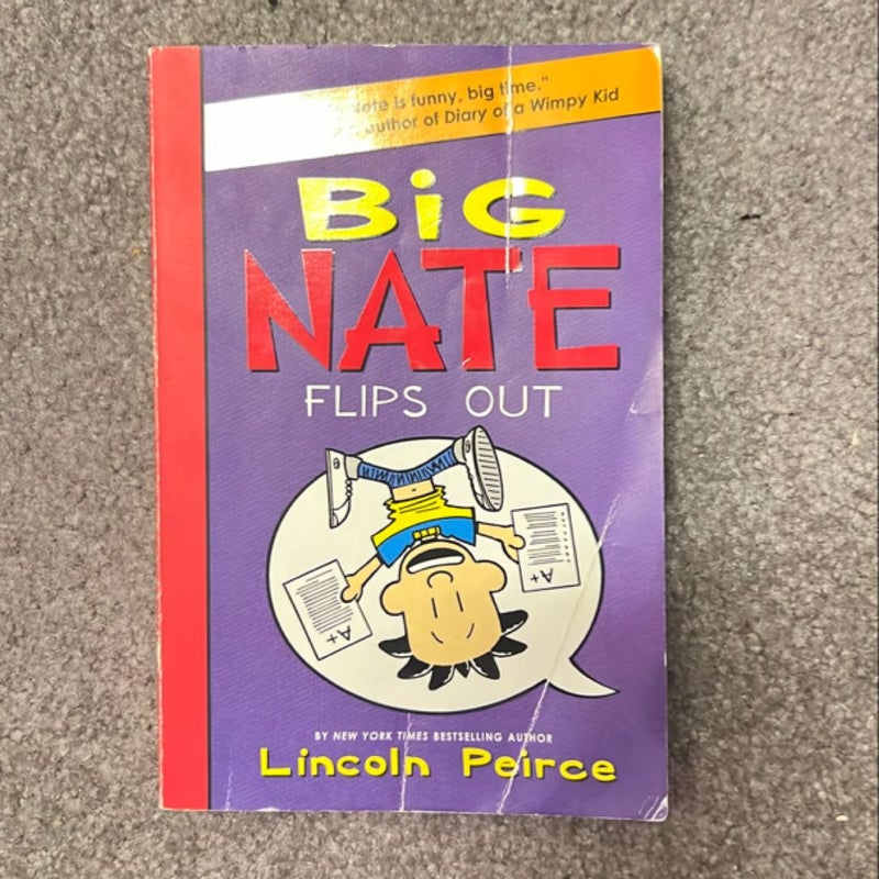 Big Nate Flips Out