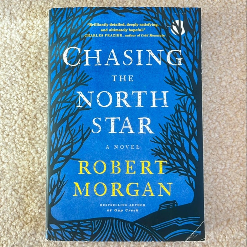 Chasing the North Star