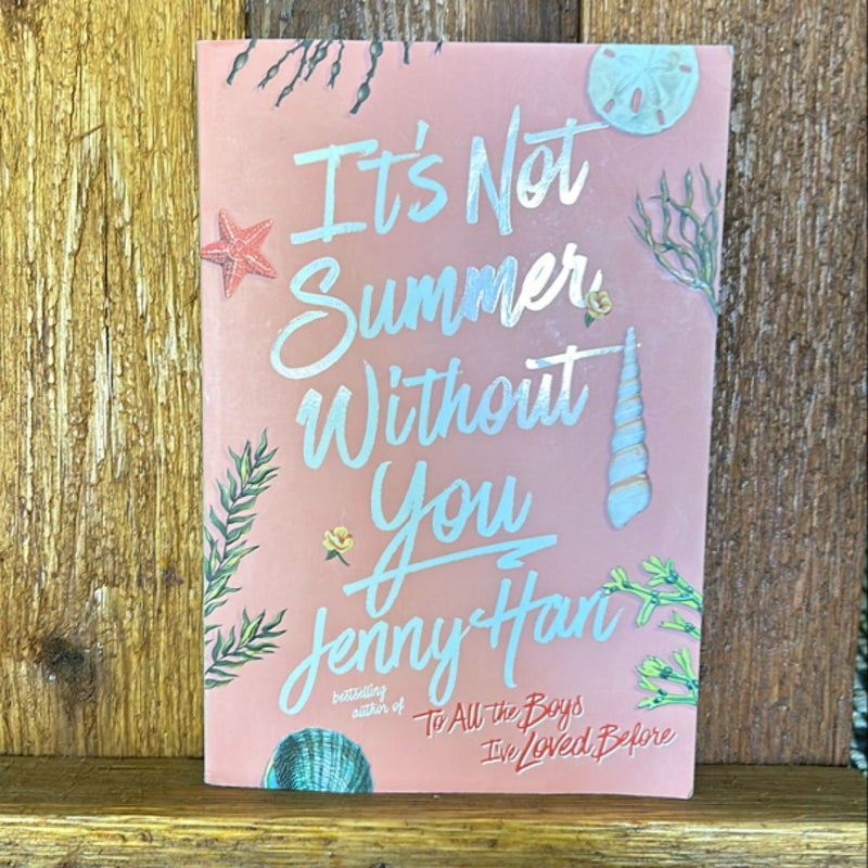It's Not Summer Without You