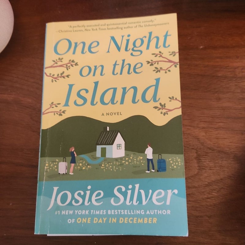 One Night on the Island