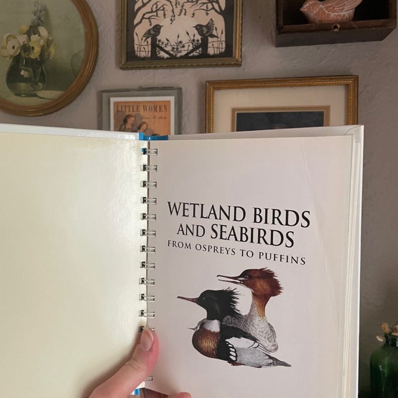 Wetland Birds and Seabirds