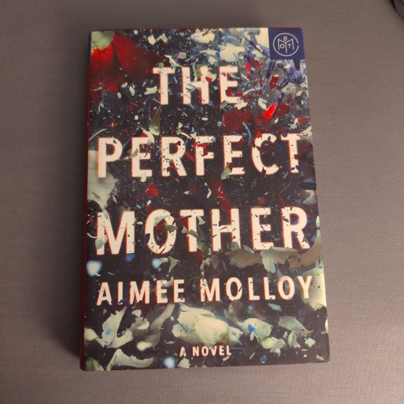 The Perfect Mother