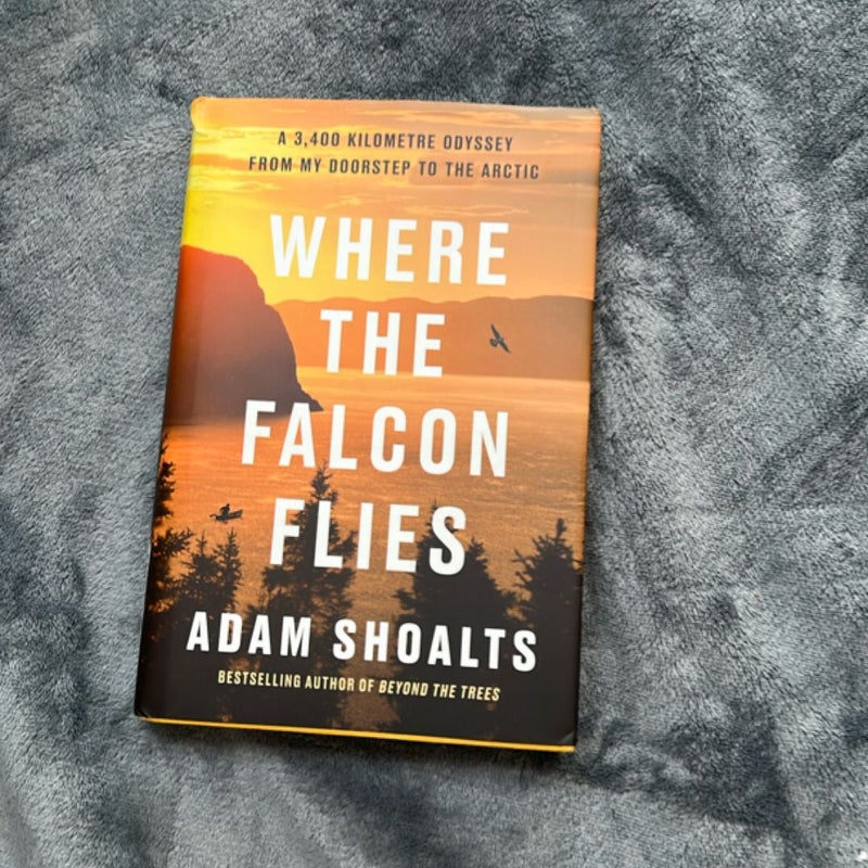 Where the Falcon Flies