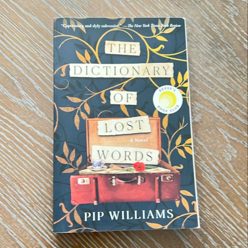 The Dictionary of Lost Words