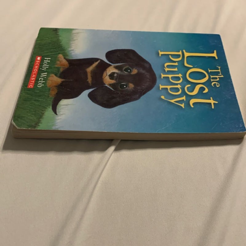 The Lost Puppy