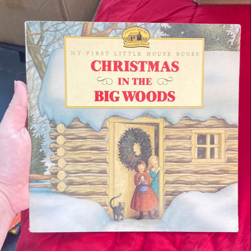 Christmas in the Big Woods